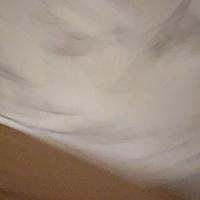 Nailah_D