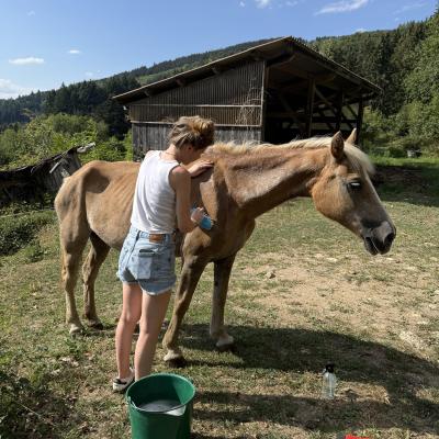 Image from Josephin