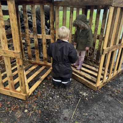 Image from LittleBarn