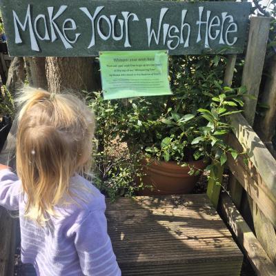 Image from Flora