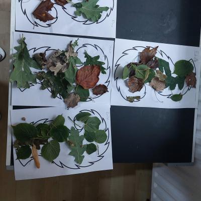 Image from Ruth