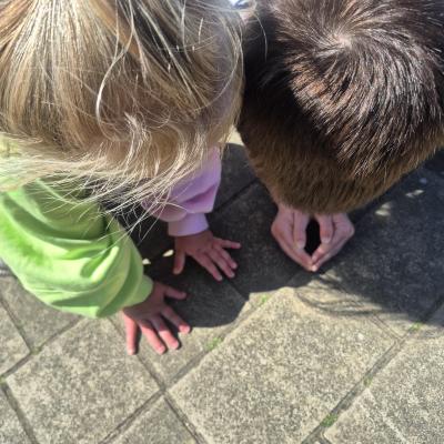 Image from Flora
