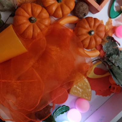 Image from Ruth