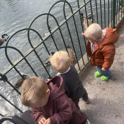 Image from Liz