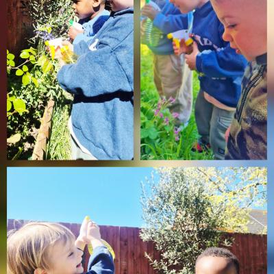 Image from Teddy Day Childcare