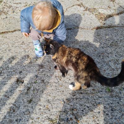Image from Kim