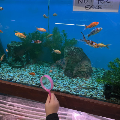 Image from Misbah childminder 