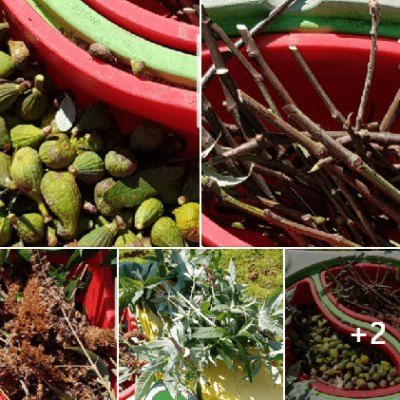 Image from Coutts Childcare