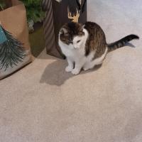 Julie