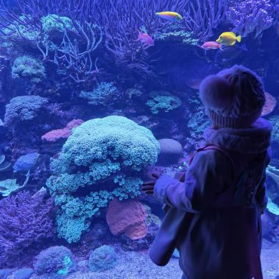 Image from Bright Skys Nursery