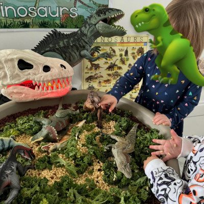 Image from First Steps Learning