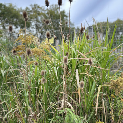 Image from Wendys childminding