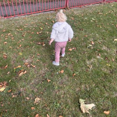 Image from Carly
