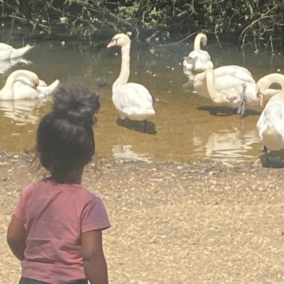 Image from Wanstead Childminder