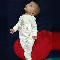 Sophy