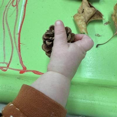 Image from Bright Beginnings 