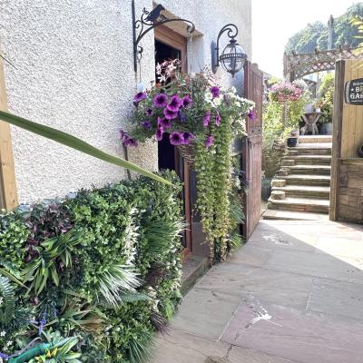 Image from Mischelle Akid