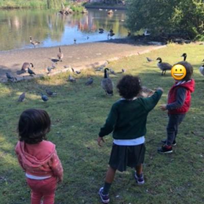 Image from Caterpil