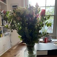 Fiona55