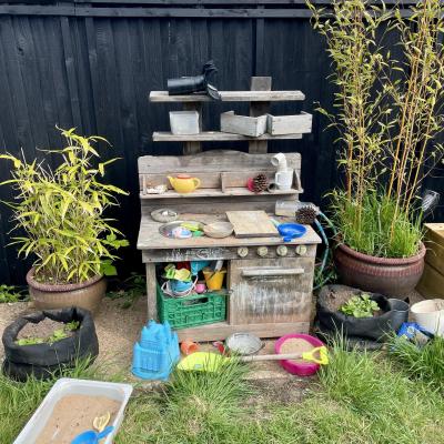Image from Wild Ferns Childmind