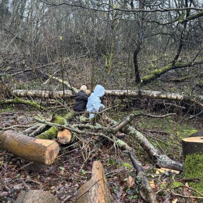 Image from LittleBarn