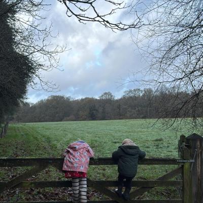 Image from LittleBarn