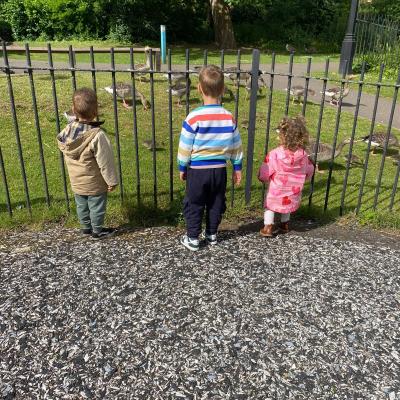 Image from Kerry79