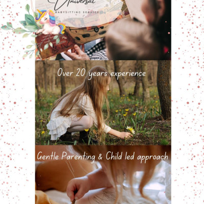 Image from Universal Guardian