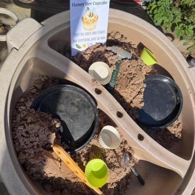 Image from mrseastm