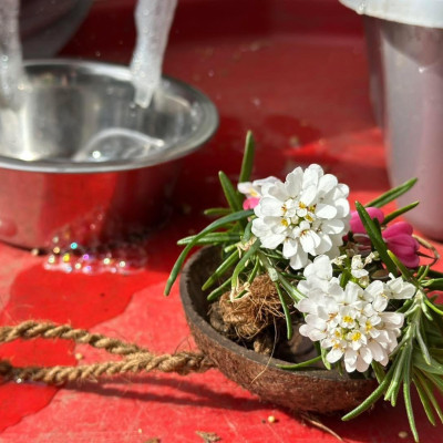 Image from Squirrels Leap