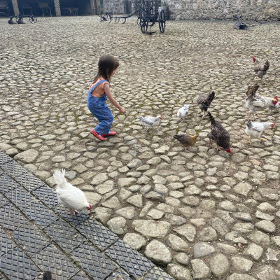 Image from Universal Guardian