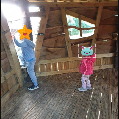Image from Tara 