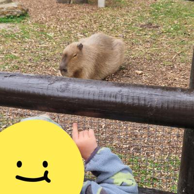 Image from Anna