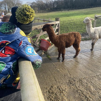 Image from Wanstead Childminder