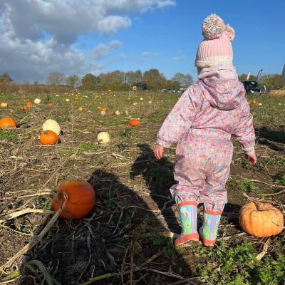 Image from Suzanne Lynn