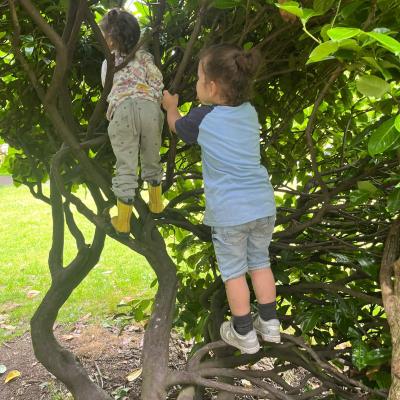 Image from MamaBear