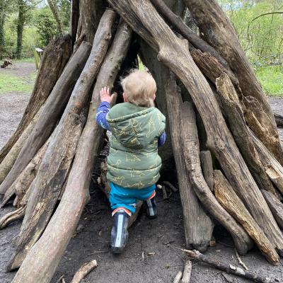 Image from Lisa Ireland