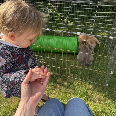 Image from Jemmas little Jems