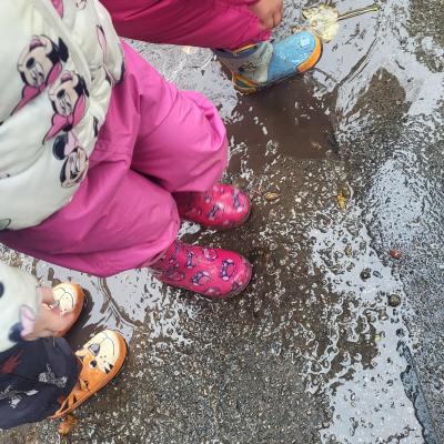 Image from Caterpillars