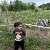Hamza