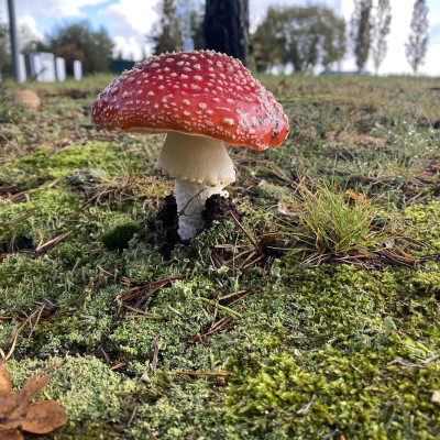 Image from Universal Guardian