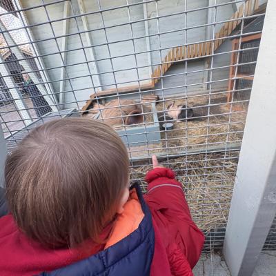 Image from Auntie Annies