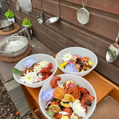 Image from Rainbow Ridg Nursery