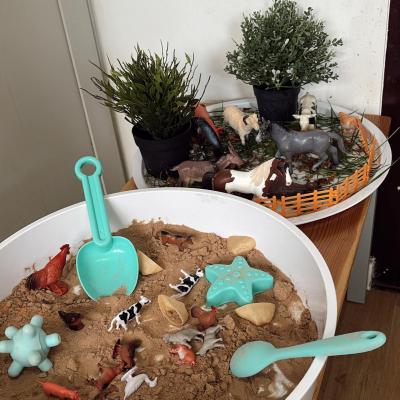 Image from LUCY
