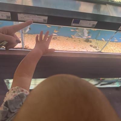 Image from Blue Bear Day Care