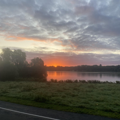 Image from Universal Guardian