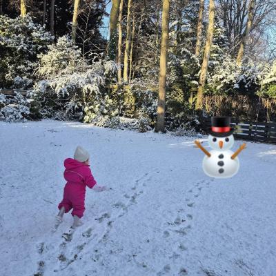 Image from Suzanne Lynn