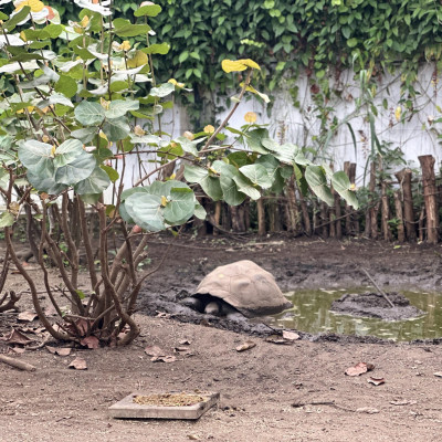 Image from Wendys childminding