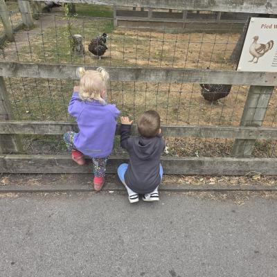 Image from MamaBear