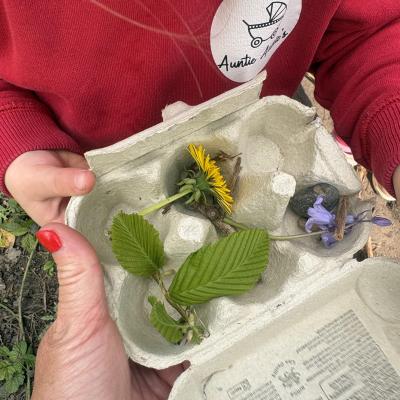 Image from Auntie Annies